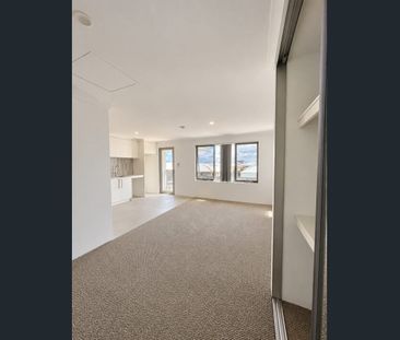 MAIN HOME $950/WEEK | STUDIO $450/WEEK - BRAND NEW COASTAL LIVING & A SEPARATE STUDIO - Photo 2