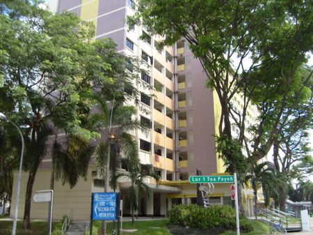 Blk 163 Toa Payoh Green (Toa Payoh), HDB 3 Rooms - For Rent - Photo 2