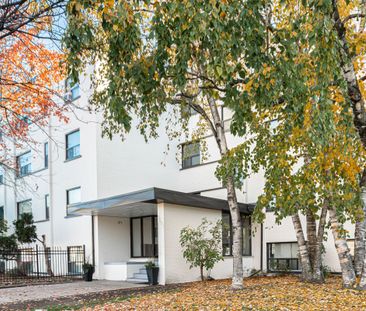 1001 O'Connor Drive - Photo 6