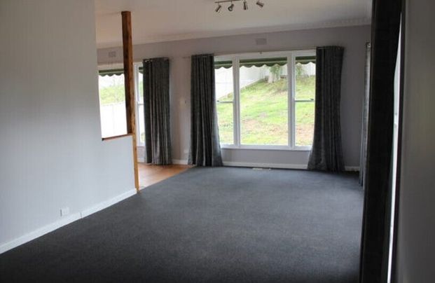 White Hills - Photo 1