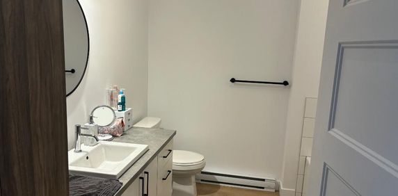 Appartement 4 1/2 Secteur paisible à 5 mins des services St-Hyacinthe à louer - Photo 2