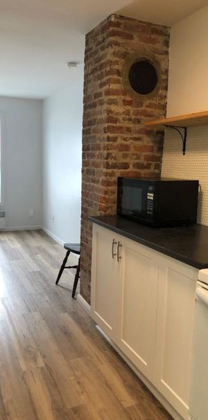 Studio semi-meublé Lévis - Disponible janvier 2026 - Photo 1