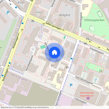 Rönnblomsgatan, Malmö