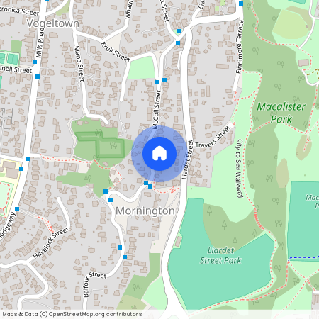 39 McColl Street, Vogeltown, Wellington