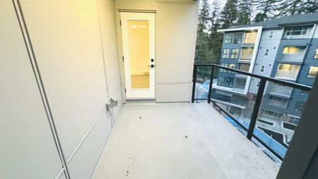 Brand New Condo – 2 Bathrooms! - Photo 3