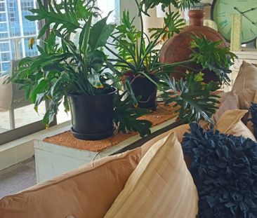 Surfers Paradise - Photo 3