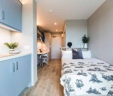 Silver Studio - Photo 5