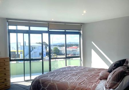 Petone - Photo 4