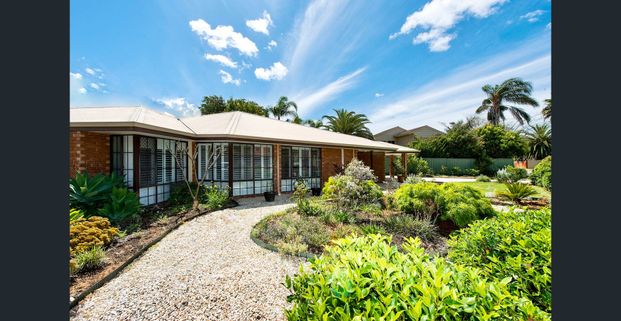 Tranquil Oasis in the Heart of It All - Photo 1