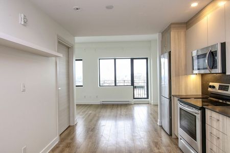 30 Saint-Joseph Est, Montréal, QC - Photo 3