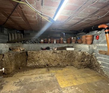 EFH mit grosszügigem Garten in Weggis - Photo 6