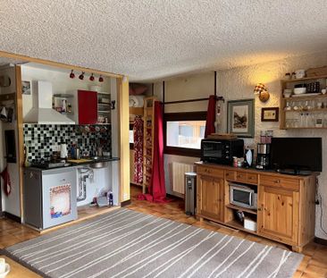 Location Appartement 1 pièce 27m² LA CHAPELLE D ABONDANCE 74360 - Photo 3
