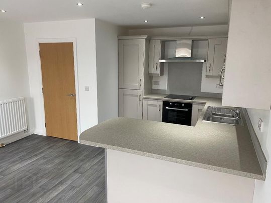 40d St Patrick's Avenue, Downpatrick, BT30 6DW - Photo 1