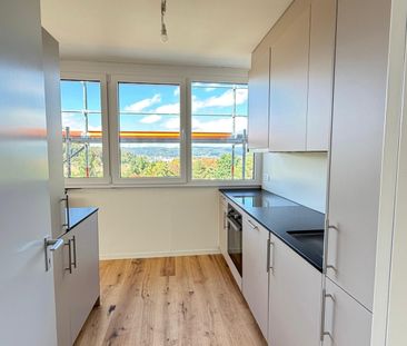 Neu sanierte 2.5-Zimmer-Wohnung mit schöner Aussicht - Photo 3