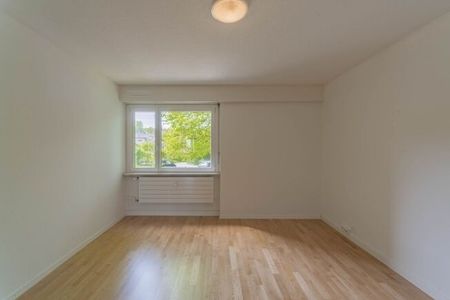 Location sans acompte - Quartier résidentiel calme près du lac avec terrasse sur le toit - Photo 2