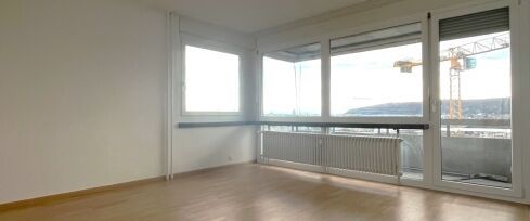 Living in Pratteln - Photo 1