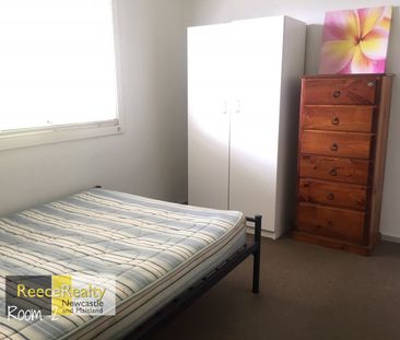 4 bedroom student accommodation - Photo 3