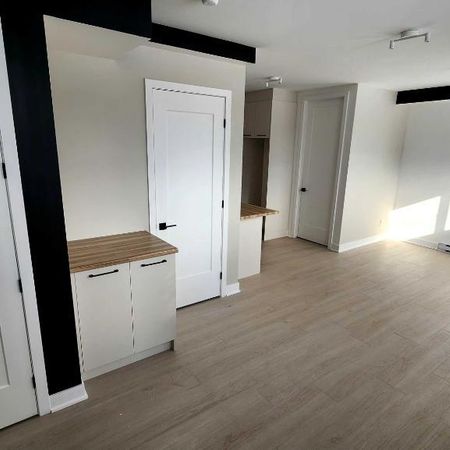 3 1/2 à louer Pointe-Calumet - Photo 4