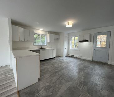 Beau grand 4 et demi lumineux et tranquille - Photo 2