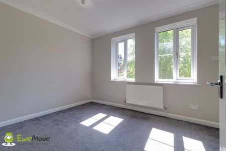 1 Bedroom - Photo 4