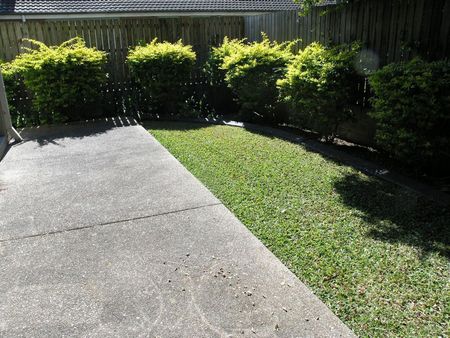 Rare Coorparoo Townhouse - Photo 5