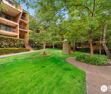 Unit 98/10 Eyre Street, Griffith ACT 2603 - Apartment For Rent | Do... - Photo 2