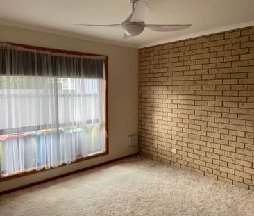 3 / 167 SWALLOW STREET, Shepparton - Photo 1