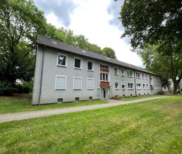 2-Zimmer Wohnung in Bochum-Langendreer - Photo 3