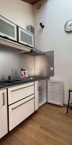 Location Appartement 1 pièce 15m² REIMS 51100 - Photo 1