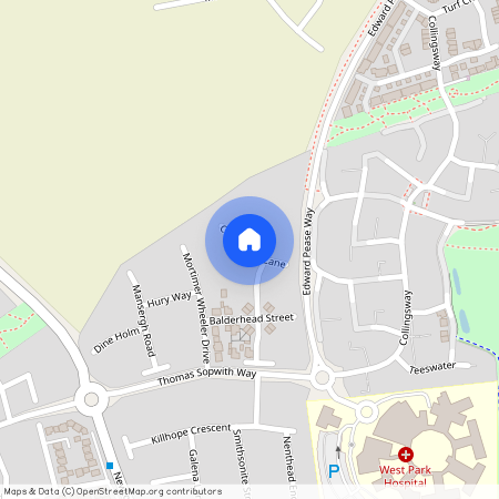 Cow Green Lane, Darlington, Durham, DL2