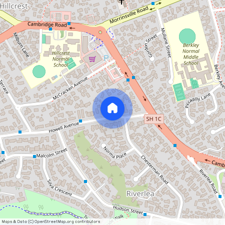 Riverlea, 8A Howell Avenue, Hamilton