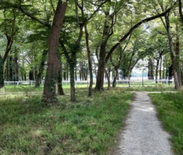 Colocation chambre meublé près de universités - Photo 6