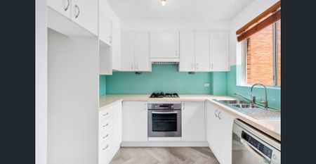 Fresh in Freshwater - Photo 5