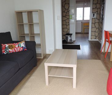 T5 MEUBLE BREST BELLEVUE POUR COLOCATION ! UNE CHAMBRE DISPONIBLE ! - Photo 3