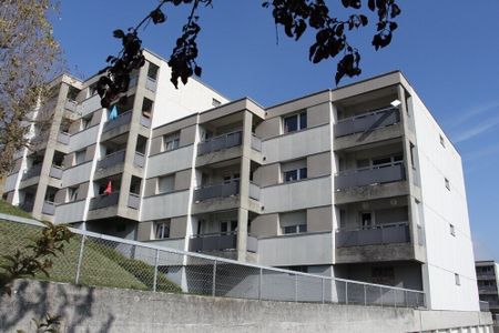 Geräumige Wohnung in schöner grüner Umgebung, ohne Sichtkontakt - Photo 5