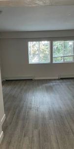 (8788 Fremlin) Pet-friendly One Bed Apartment for Rent - Photo 4