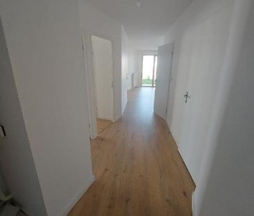 Location Appartement 3 pièces 64m² CORNEBARRIEU 31700 - Photo 4