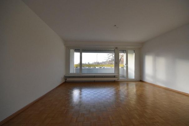 Familienwohnung sucht Bewohner in Therwil - Foto 1
