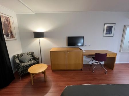 Renovated 1 Bedroom - Lifestyle Fit for Modern Life - Photo 2