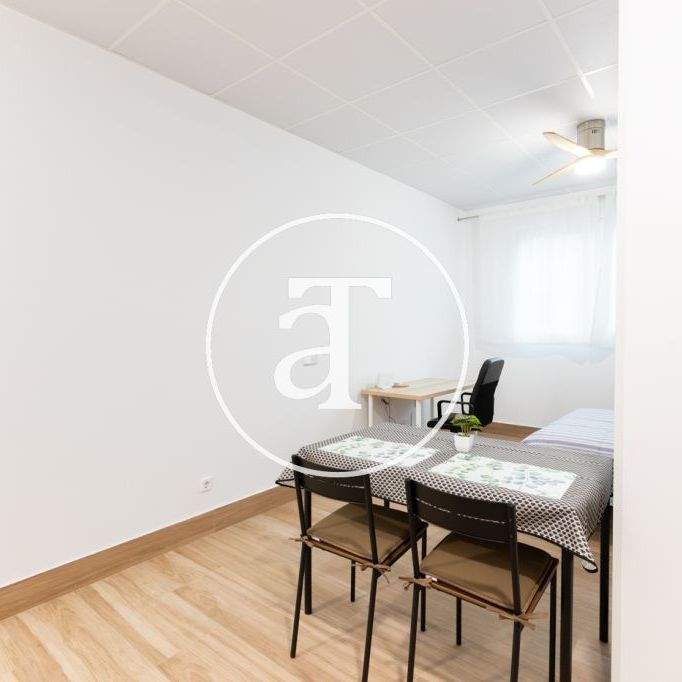 Monthly rental studio with 1 bedroom and 1 bathroom in Latina with direct access to parks and green areas - Photo 1