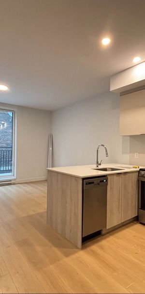 102-2161, 2161 Av. de Melrose, Côte-des-Neiges / Notre-Dame-de-Grâce à louer - Photo 1