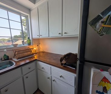 1 CH - 1 SDB - Montréal - $1,250 /mo - Photo 3