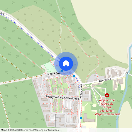 ul. Włocławska, Czerniewice, Toruń, kujawsko-pomorskie