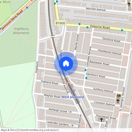 Lyndhurst Avenue, Jesmond