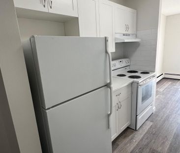 FULLY RENOVATED TWO BEDROOM ~ SMALL PET FRIENDLY! - Photo 4