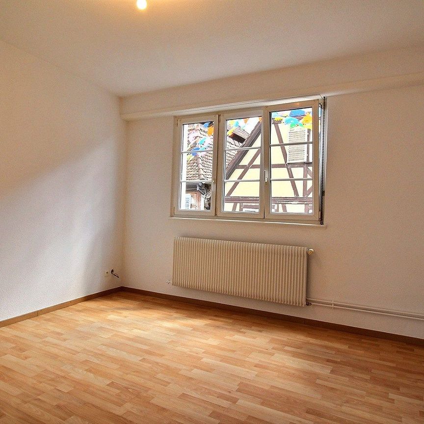 Location Appartement 1 pièce 42m² BARR 67140 - Photo 1