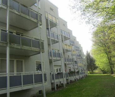 Demnächst frei! 2-Zimmer-Wohnung in Bergkamen Weddinghofen - Photo 3