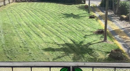 Charming 3BR Home Ready to move in - Photo 5