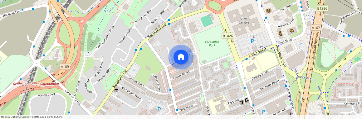 Havelock Terrace, Gateshead NE8