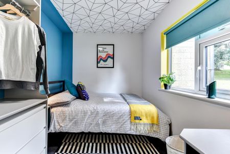 1 bedroom house of multiple occupation to rent - Photo 3